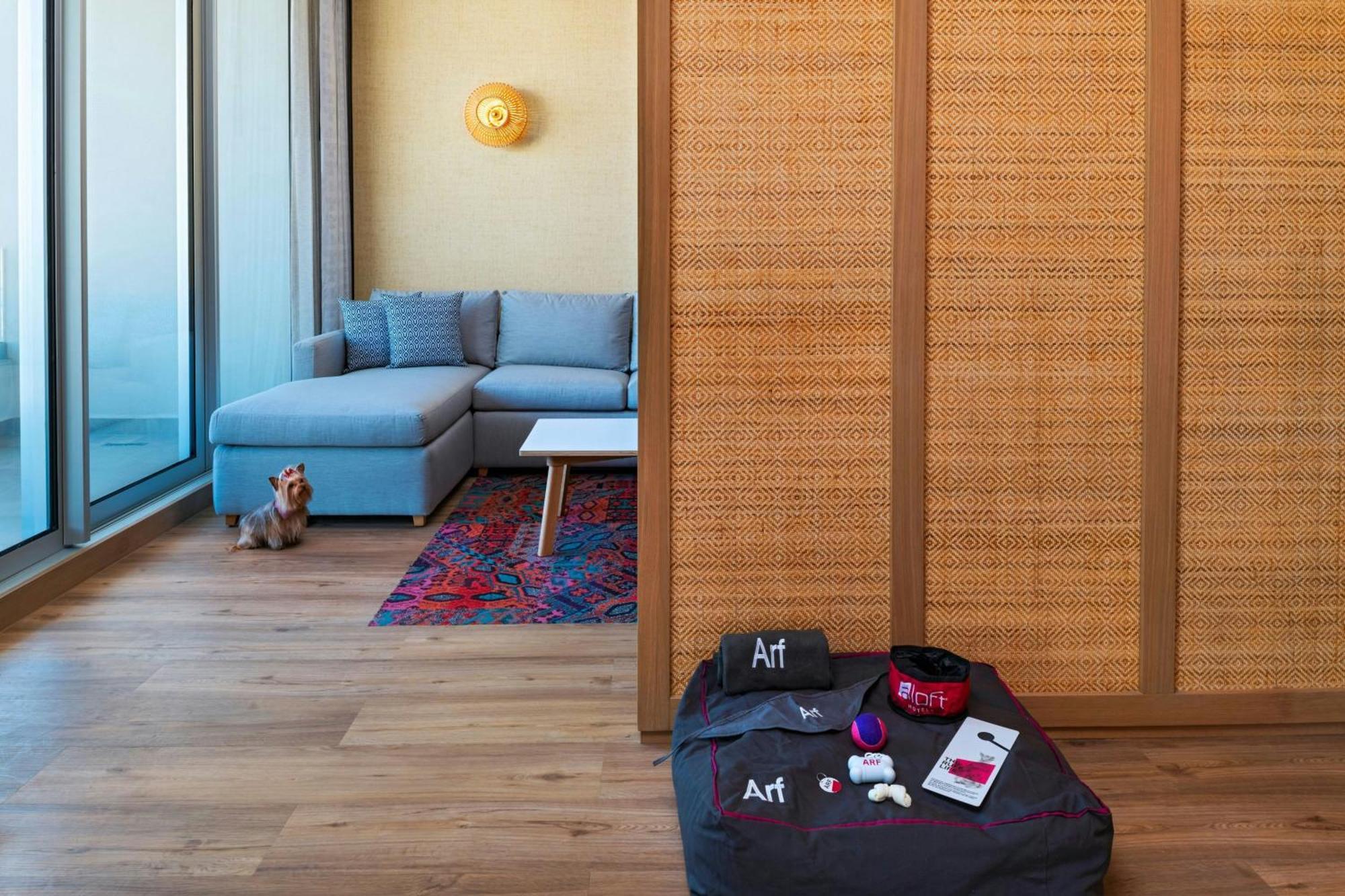 Hotel Aloft Playa Del Carmen Zewnętrze zdjęcie A room divider